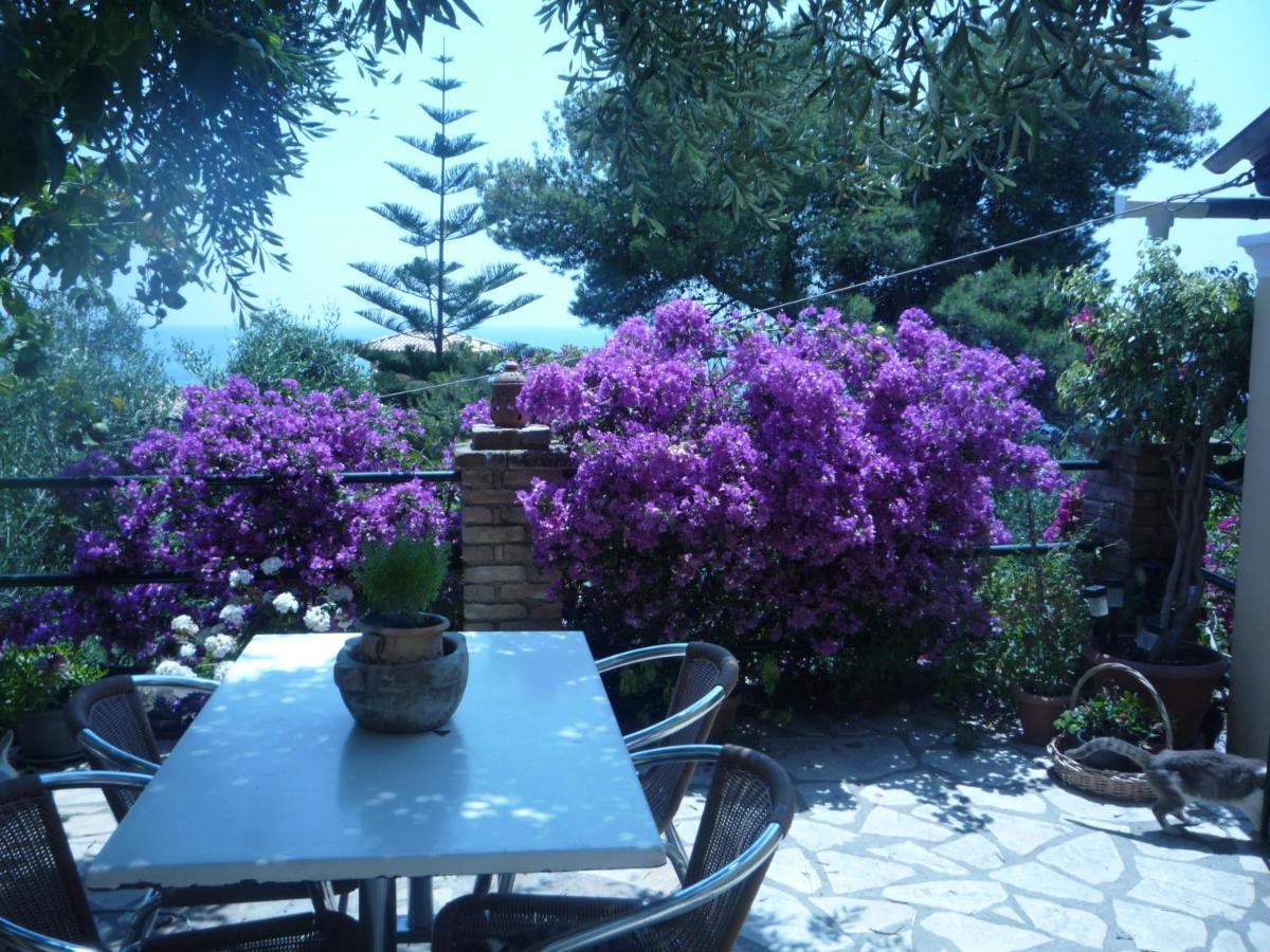 Butterfly Barbati Apartments 외부 사진